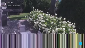 Caméra IP - US