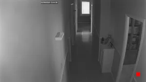 Caméra IP - IT
