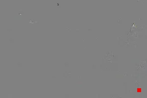 Caméra IP - IT