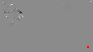Caméra IP - ES