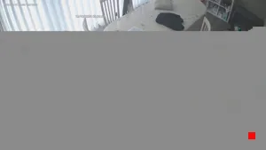 Caméra IP - AU