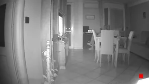 Caméra IP - IT