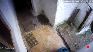 Caméra IP - UY