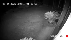 Caméra IP - CN