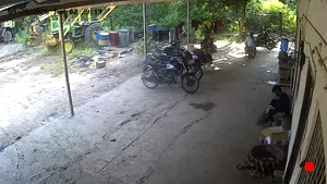 Caméra IP - IN