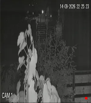 Caméra IP - IT