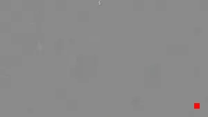 Caméra IP - IT