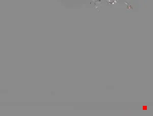 Caméra IP - IT
