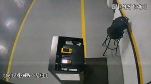 Caméra IP - BR