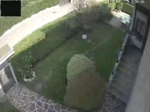 Caméra IP - IT