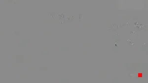 Caméra IP - ES
