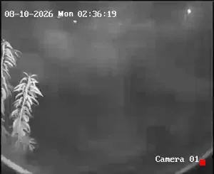 Caméra IP - IR