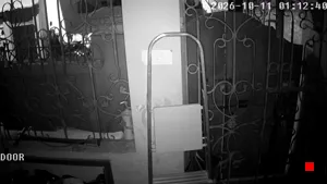 Caméra IP - IN
