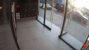 Caméra IP - US