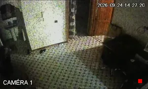 Caméra IP - MA