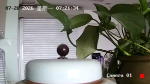 Caméra IP - CN