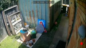 Caméra IP - NZ