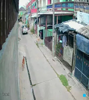 Caméra IP - TH