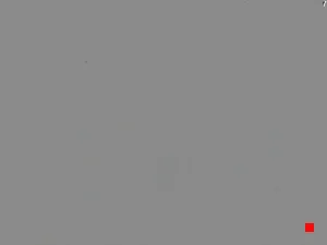 Caméra IP - DK