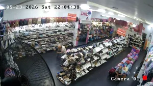 Caméra IP - EG