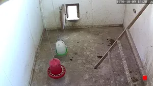 Caméra IP - NO