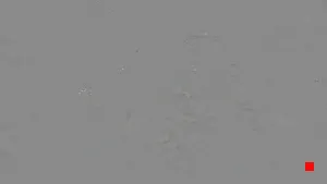 Caméra IP - IT