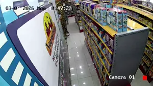Caméra IP - MX