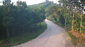 Caméra IP - VN