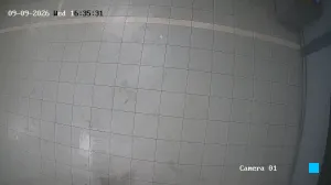 Caméra IP - IN