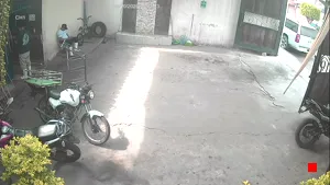Caméra IP - MX