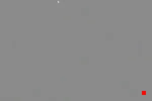 Caméra IP - IT