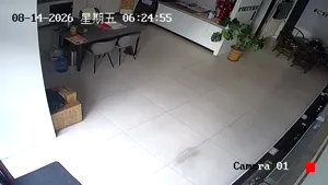 Caméra IP - CN