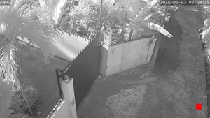 Caméra IP - DO
