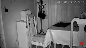 Caméra IP - PY