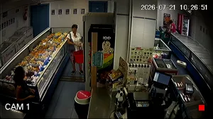 Caméra IP - ES