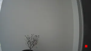 Caméra IP - AU