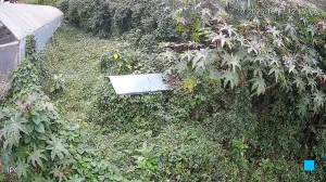 Caméra IP - VN