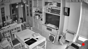 Caméra IP - ES