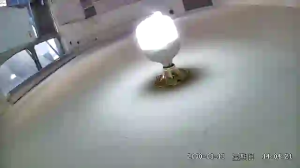 Caméra IP - IR