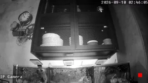 Caméra IP - LV