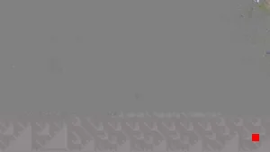 Caméra IP - IR