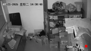 Caméra IP - CN