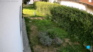 Caméra IP - IT