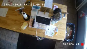 Caméra IP - US