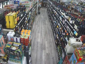 Caméra IP - US