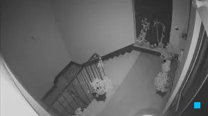 Caméra IP - IT