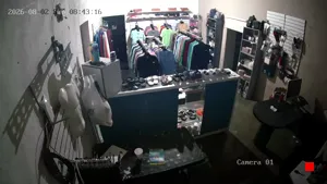 Caméra IP - MX
