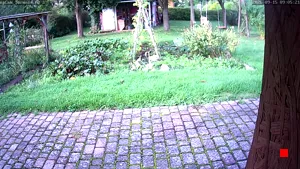 Caméra IP - DE