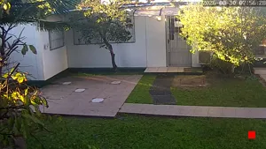 Caméra IP - UY