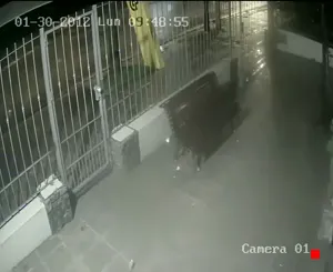 Caméra IP - UY